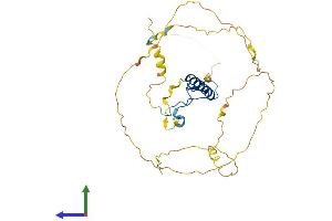 AlphaFold protein structure predicition of Mouse Recombinant Cdkn1c Protein, UniprotID P49919
