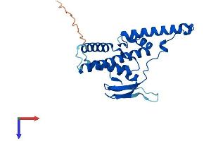 AlphaFold protein structure predicition of Human Recombinant GINS4 Protein, UniprotID Q9BRT9