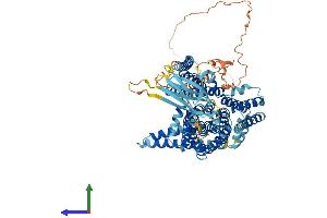 AlphaFold protein structure predicition of Human Recombinant OCA2 Protein, UniprotID Q04671