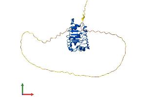 AlphaFold protein structure predicition of Mouse Recombinant Anp32b Protein, UniprotID Q9EST5