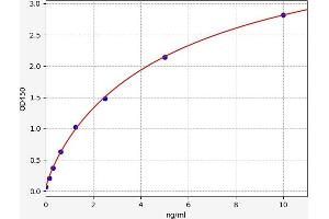 CD5 Molecule-Like (CD5L) ELISA Kit