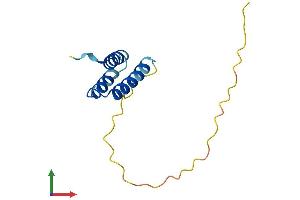 AlphaFold protein structure predicition of Mouse Recombinant Sdhaf1 Protein, UniprotID Q3U276