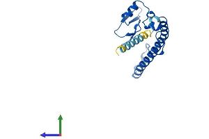 AlphaFold protein structure predicition of Mouse Recombinant Rsl24d1 Protein, UniprotID Q99L28