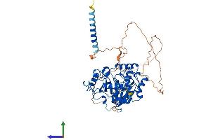 AlphaFold protein structure predicition of Mouse Recombinant St6gal2 Protein, UniprotID Q76K27
