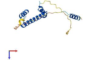 AlphaFold protein structure predicition of Mouse Recombinant Taf12 Protein, UniprotID Q8VE65