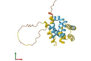 AlphaFold protein structure predicition of Human Recombinant BID Protein, UniprotID P55957