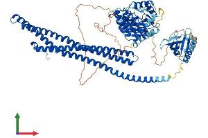 AlphaFold protein structure predicition of Human Recombinant ACAP2 Protein, UniprotID Q15057