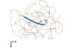 AlphaFold protein structure predicition of Mouse Recombinant Tsc22d1 Protein, UniprotID P62500