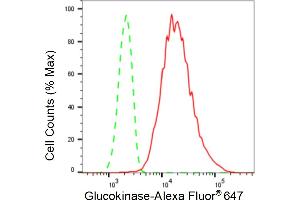 Flow cytometric analysis of Glucokinase expression in HepG2 cells using Glucokinase antibody (ABIN7798729), 1:2,000). (Recombinant GCK anticorps)
