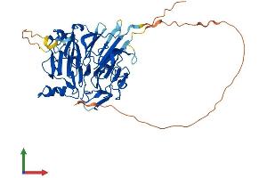 AlphaFold protein structure predicition of Mouse Recombinant Sergef Protein, UniprotID Q80YD6