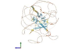 AlphaFold protein structure predicition of Mouse Recombinant Rest Protein, UniprotID Q8VIG1