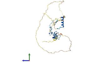 AlphaFold protein structure predicition of Mouse Recombinant Phf13 Protein, UniprotID Q8K2W6