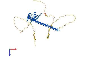 AlphaFold protein structure predicition of Human Recombinant VAX2 Protein, UniprotID Q9UIW0