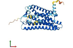 AlphaFold protein structure predicition of Human Recombinant OR10H1 Protein, UniprotID Q9Y4A9