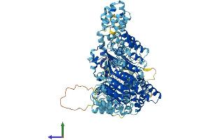 AlphaFold protein structure predicition of Mouse Recombinant Nlrc4 Protein, UniprotID Q3UP24