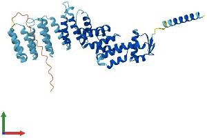 AlphaFold protein structure predicition of Mouse Recombinant Cops2 Protein, UniprotID P61202