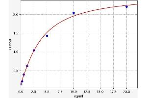 Typical standard curve