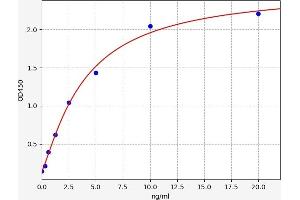 Typical standard curve (Synaptophysin Kit ELISA)