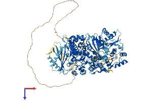 AlphaFold protein structure predicition of Mouse Recombinant Oas3 Protein, UniprotID Q8VI93