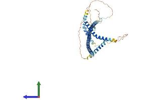 AlphaFold protein structure predicition of Mouse Recombinant Gkap1 Protein, UniprotID Q9JMB0