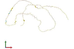 AlphaFold protein structure predicition of Mouse Recombinant Srsf12 Protein, UniprotID Q8C8K3