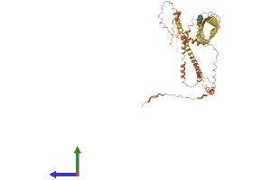 AlphaFold protein structure predicition of Human Recombinant IVL Protein, UniprotID P07476