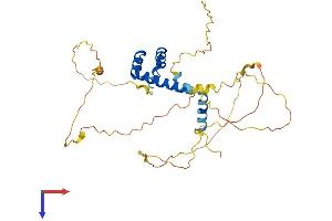 AlphaFold protein structure predicition of Mouse Recombinant Rax Protein, UniprotID O35602