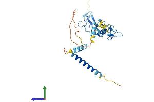 AlphaFold protein structure predicition of Human Recombinant ZFAND2B Protein, UniprotID Q8WV99