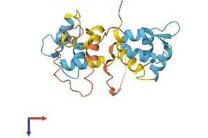 AlphaFold protein structure predicition of Human Recombinant MYL10 Protein, UniprotID Q9BUA6