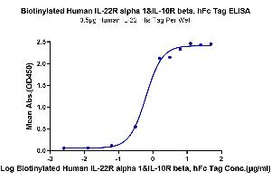 Immobilized Human IL-22, His Tag at 5 μg/mL (100 μL/well) on the plate.