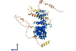 AlphaFold protein structure predicition of Human Recombinant HEATR9 Protein, UniprotID A2RTY3