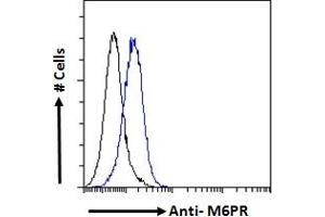 ABIN238667 Flow cytometric analysis of paraformaldehyde fixed A549 cells (blue line), permeabilized with 0.