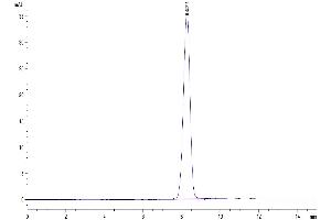 The purity of Human EphB3 is greater than 95 % as determined by SEC-HPLC.