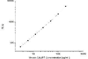 Typical standard curve (Caspase 7 Kit CLIA)