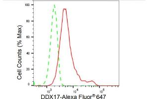 Flow cytometric analysis of DDX17 expression in HeLa cells using DDX17 antibody (ABIN7798284), 1:2,000). (Recombinant DDX17 anticorps)
