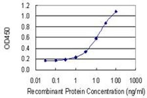 Detection limit for recombinant GST tagged CTNNBL1 is 0.