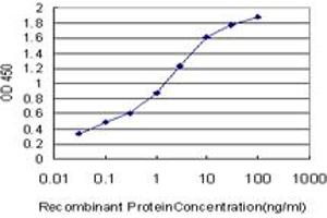 Detection limit for recombinant GST tagged HEY1 is approximately 0. (HEY1 anticorps  (AA 121-220))