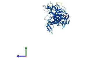 AlphaFold protein structure predicition of Human Recombinant TMPRSS4 Protein, UniprotID Q9NRS4