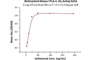 Immobilized Biotinylated Mouse CTLA-4, His,Avitag (ABIN6973042) at 1 μg/mL (100 μL/well) on Streptavidin  precoated (0.