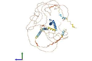 AlphaFold protein structure predicition of Mouse Recombinant Tcf12 Protein, UniprotID Q61286