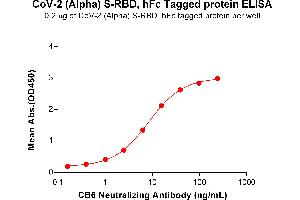 ELISA plate pre-coated by 2 μg/mL (100 μL/well) SARS-CoV-2 (Alpha) S protein RBD, hFc Tag (ABIN7455407, ABIN7490637 and ABIN7490638) can bind Anti-SARS-CoV-2 (CB6 biosimilar) mAb ABIN6964424 and ABIN7272560 in a linear range of 1.