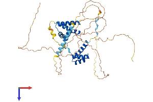 AlphaFold protein structure predicition of Mouse Recombinant Pou3f2 Protein, UniprotID P31360