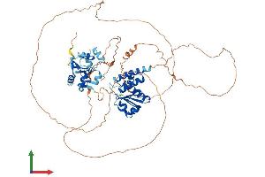 AlphaFold protein structure predicition of Mouse Recombinant Dusp8 Protein, UniprotID O09112
