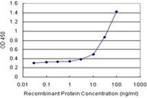 Sandwich ELISA detection sensitivity ranging from 10 ng/mL to 100 ng/mL.