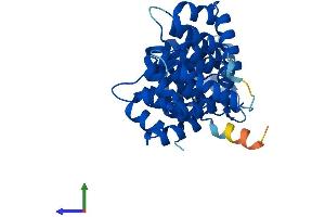 AlphaFold protein structure predicition of Human Recombinant ANXA8 Protein, UniprotID P13928