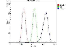 Flow Cytometry analysis of U87 cells using anti-FACL4/ACSL4 antibody (ABIN7602756). (ACSL4 anticorps  (C-Term))