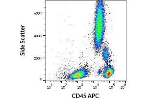 Flow cytometry surface staining pattern of human peripheral whole blood stained using anti-human CD45 (MEM-28) APC (10 μL reagent / 100 μL of peripheral whole blood). (CD45 anticorps  (APC))