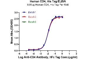 Immobilized Human CD4 at 0.
