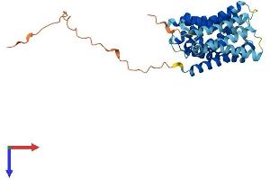 AlphaFold protein structure predicition of Human Recombinant SLC35E4 Protein, UniprotID Q6ICL7