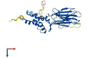 AlphaFold protein structure predicition of Mouse Recombinant Fbxo17 Protein, UniprotID Q9QZM8